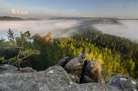 Krajina s horami a lesy