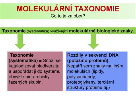 Schéma molekulární struktury léku