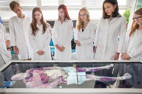 Virtuální pitevní stůl Anatomage