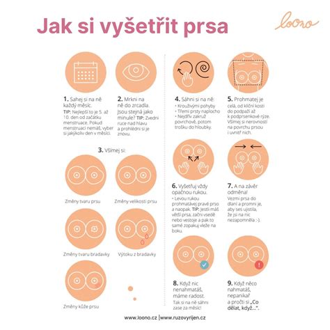 Infografika: Postup při nepřijetí na VŠ