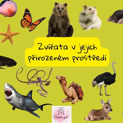 Fotografie zvířat v jejich přirozeném prostředí