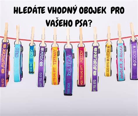Infografika zobrazující různé typy studentských průkazů a jejich výhody