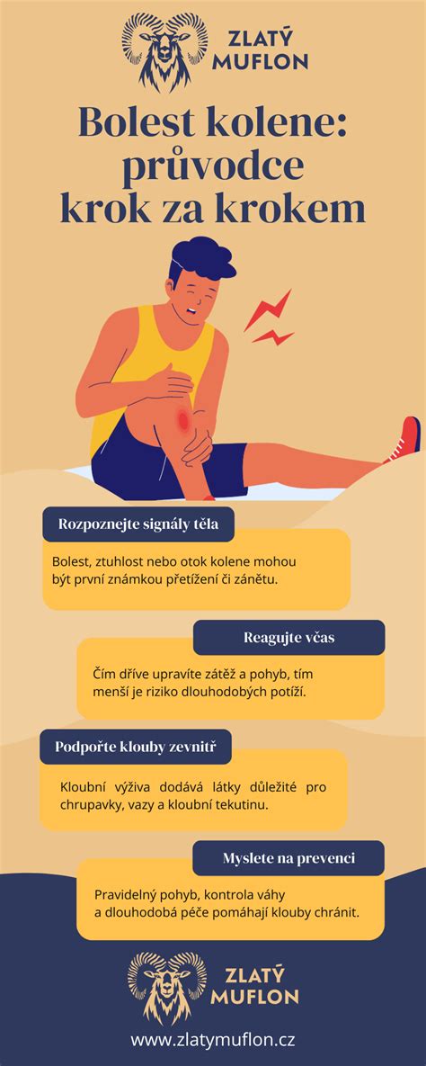 Infografika znázorňující běžné příčiny bolestí zad