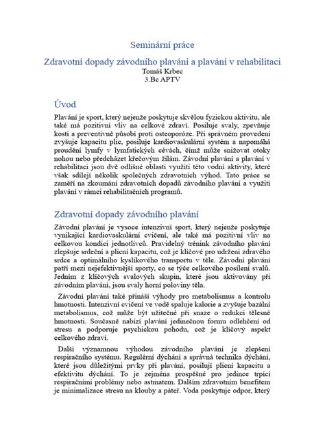 Ukázka struktury seminární práce